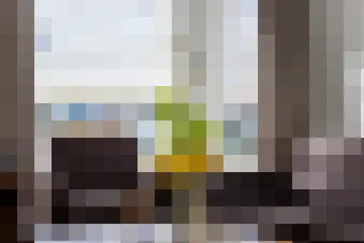 Voorstveld 40 Boekel thumbnail 8