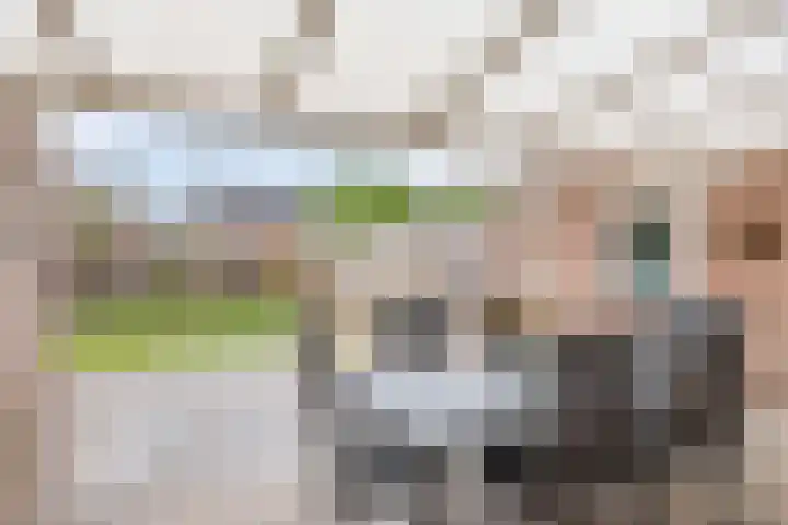 Voorstveld 6 Boekel thumbnail 19