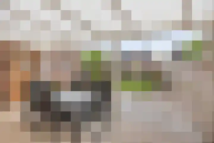 Voorstveld 6 Boekel thumbnail 20