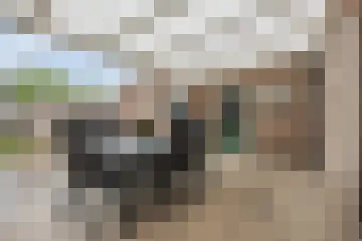 Voorstveld 6 Boekel thumbnail 22