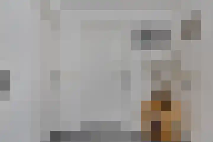 Voorstveld 6 Boekel thumbnail 24