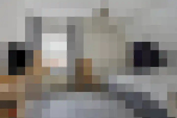 Voorstveld 6 Boekel thumbnail 31