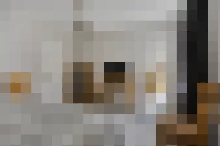 Voorstveld 6 Boekel thumbnail 32