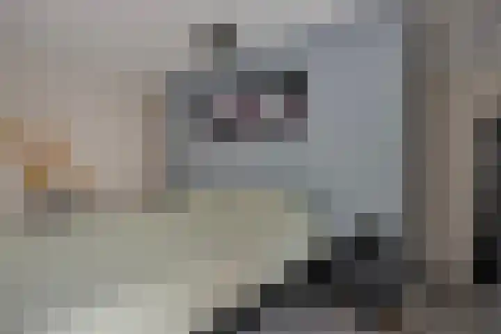 Voorstveld 6 Boekel thumbnail 34