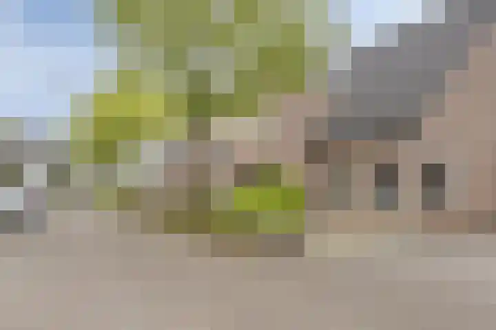 Voorstveld 6 Boekel thumbnail 39