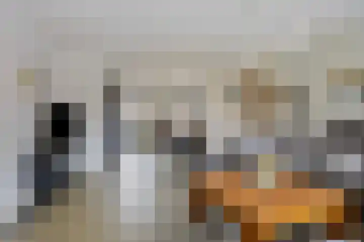 Voorstveld 6 Boekel thumbnail 8