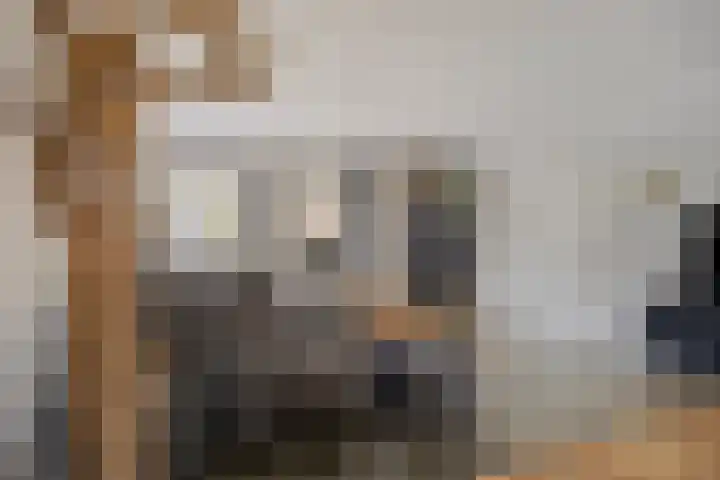 Voorstveld 6 Boekel thumbnail 9