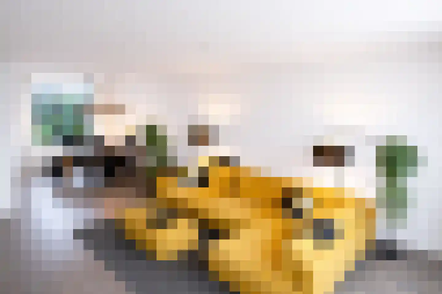 Voort 18 Gemert thumbnail 10