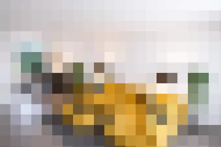 Voort 18 Gemert thumbnail 10