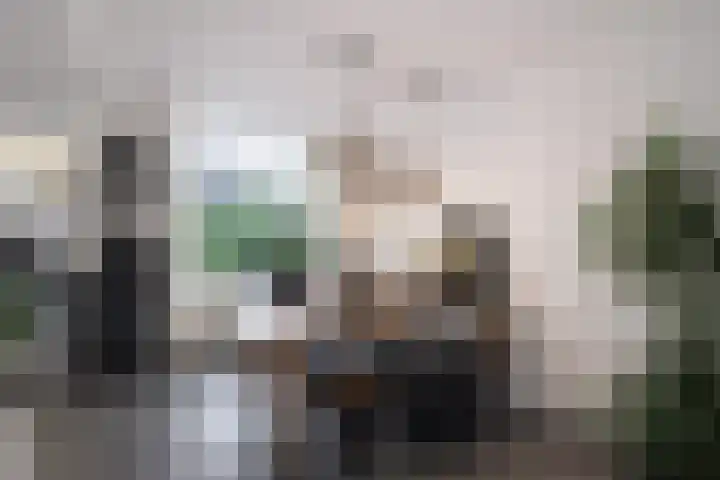 Voort 18 Gemert thumbnail 11