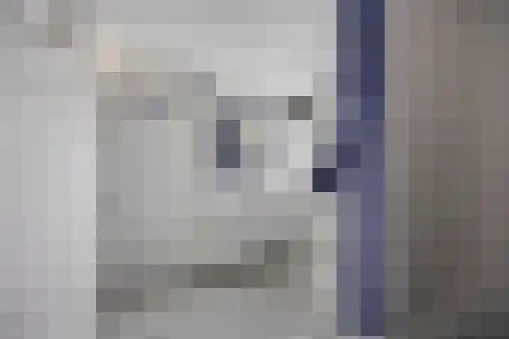 Voort 18 Gemert thumbnail 18