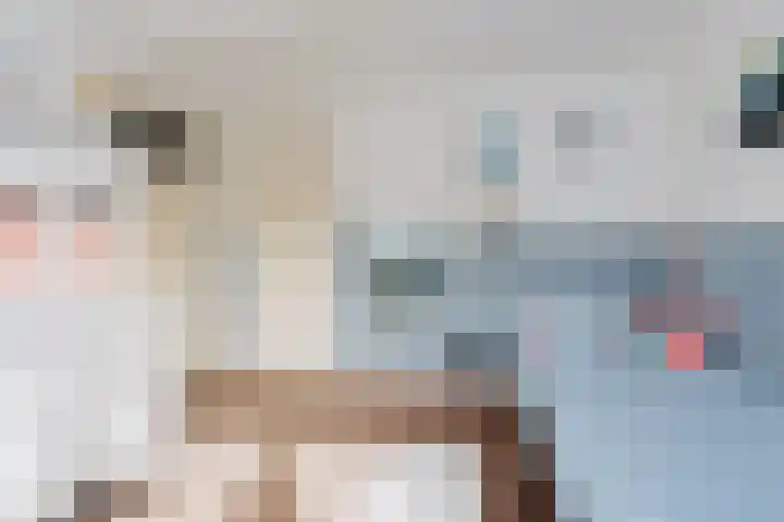Voort 18 Gemert thumbnail 27