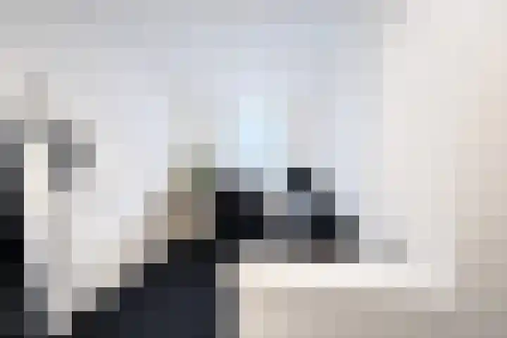 Voort 18 Gemert thumbnail 31