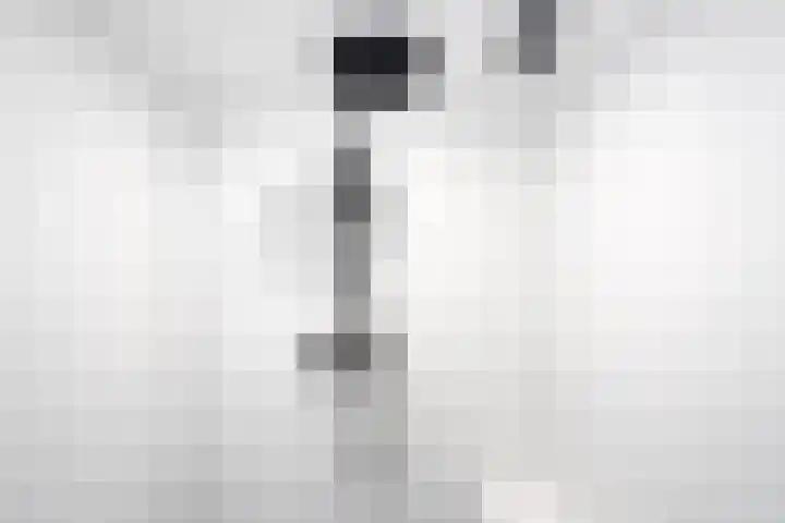 Voort 18 Gemert thumbnail 37