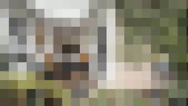 Voort 18 Gemert thumbnail 4