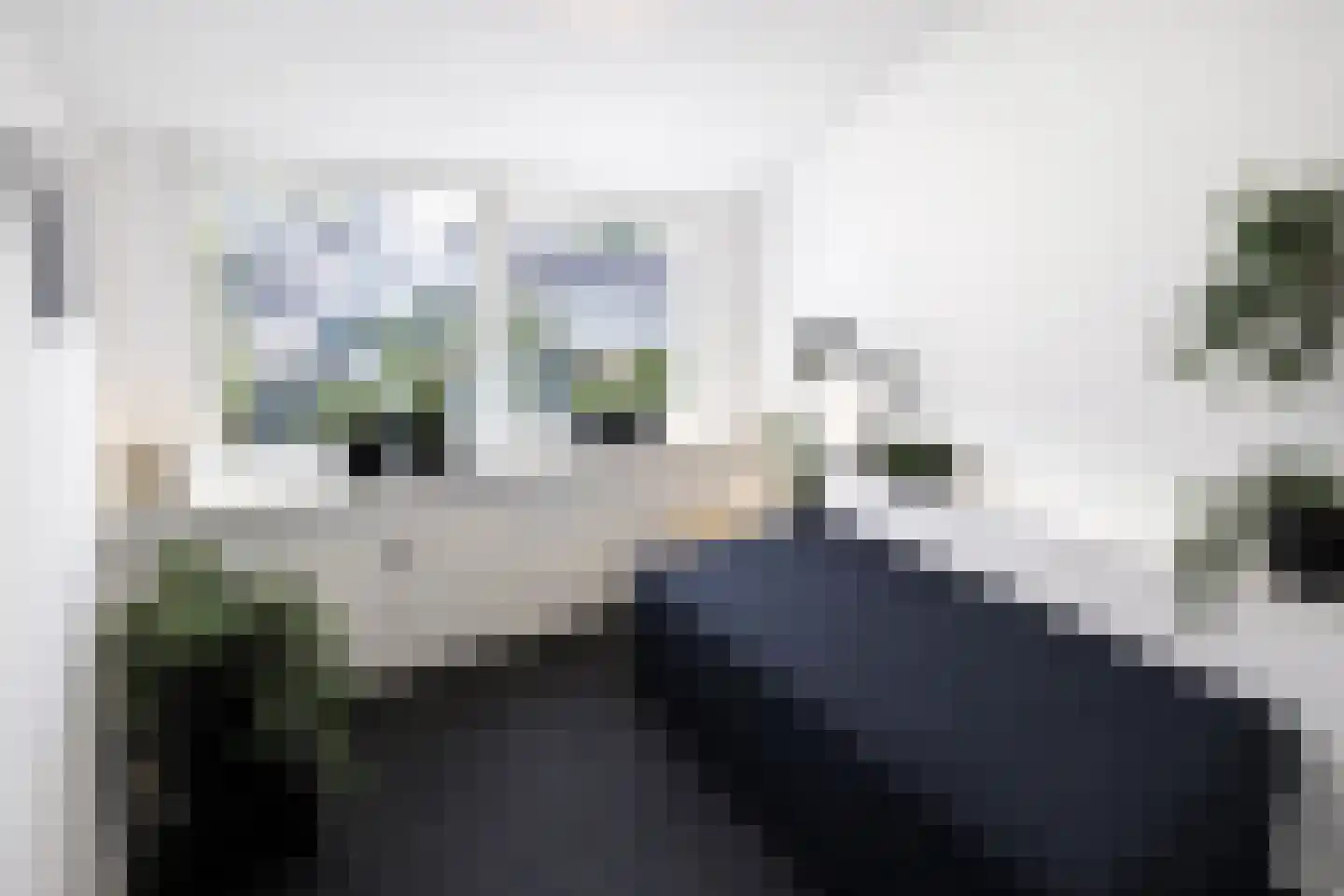 Voort 18 Gemert thumbnail 41