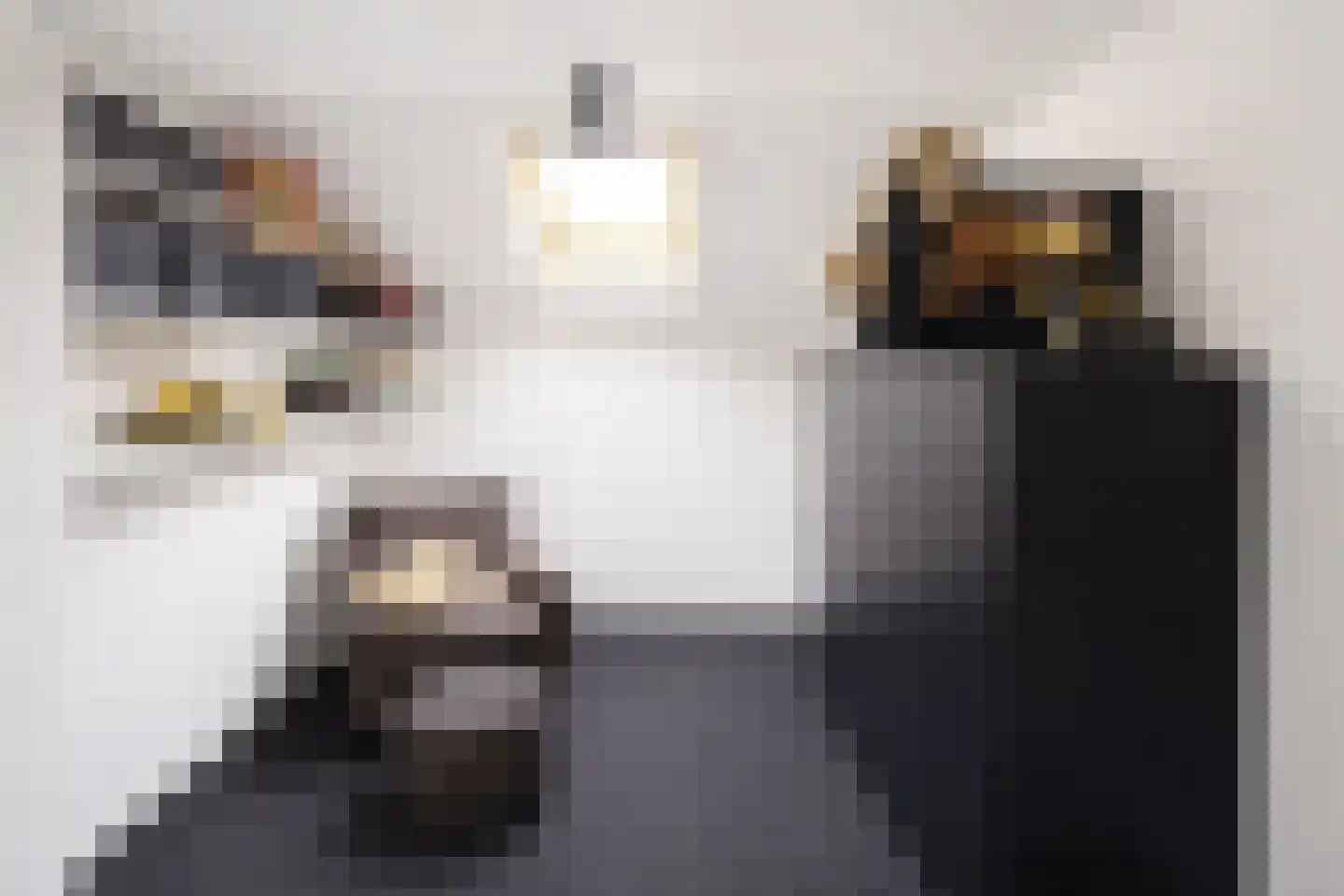 Voort 18 Gemert thumbnail 42
