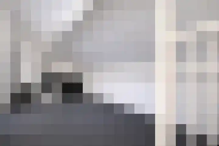 Voort 18 Gemert thumbnail 43