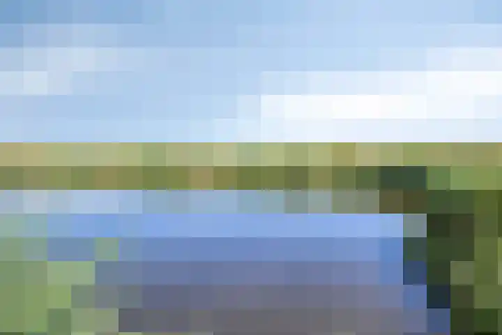 Voort 18 Gemert thumbnail 45