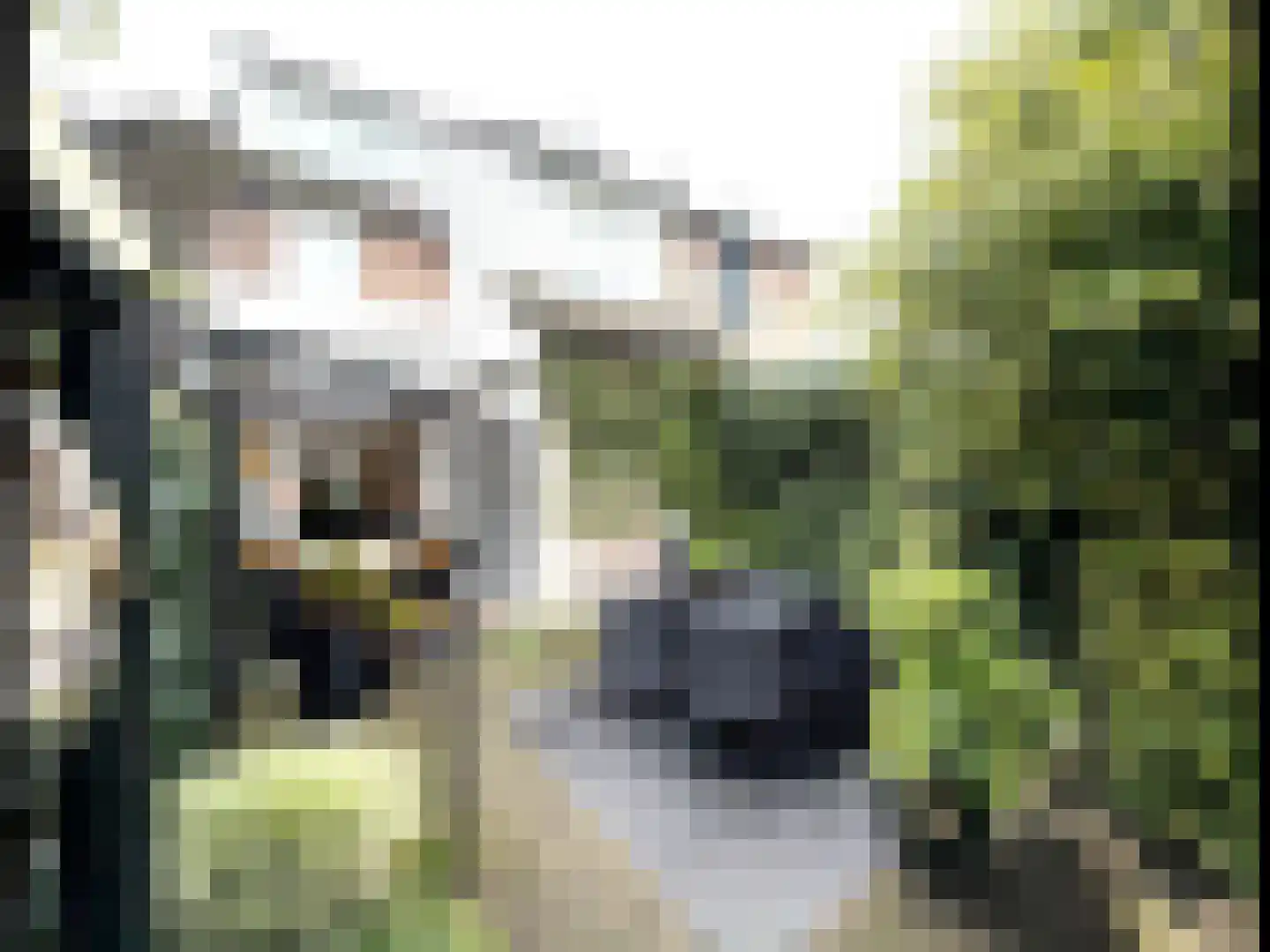 Voort 18 Gemert thumbnail 46