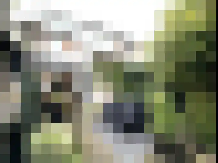Voort 18 Gemert thumbnail 46