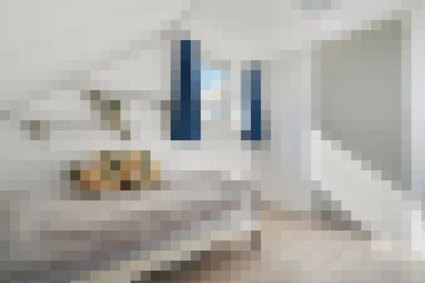 Voort 18 Gemert thumbnail 47