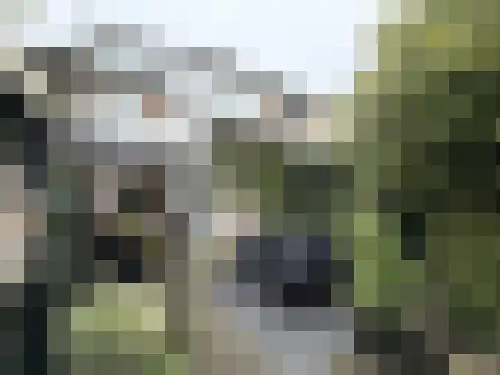 Voort 18 Gemert thumbnail 49