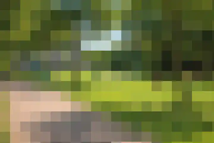 Voort 18 Gemert thumbnail 52