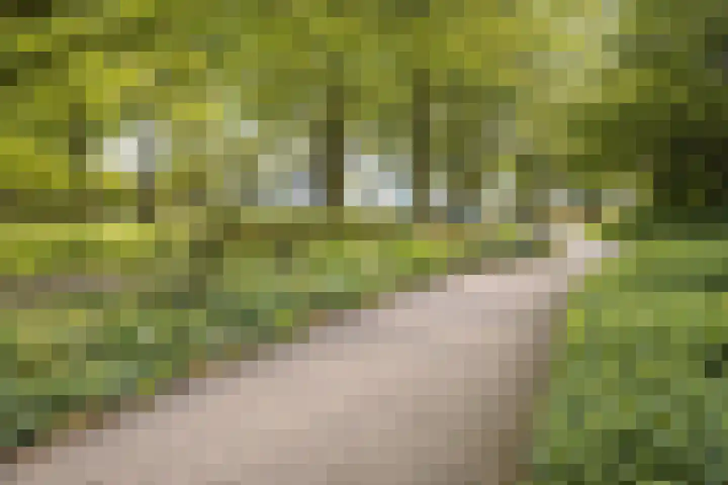 Voort 18 Gemert thumbnail 53