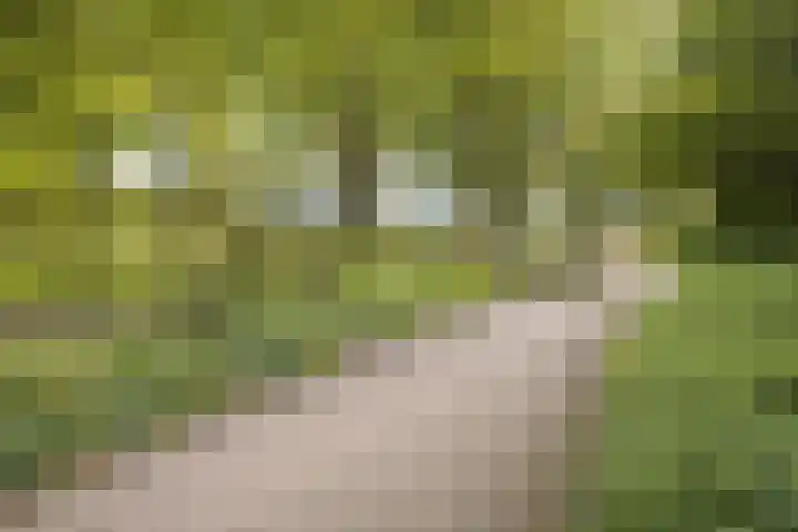Voort 18 Gemert thumbnail 53