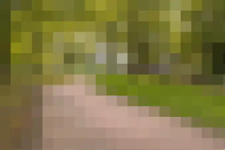 Voort 18 Gemert thumbnail 54