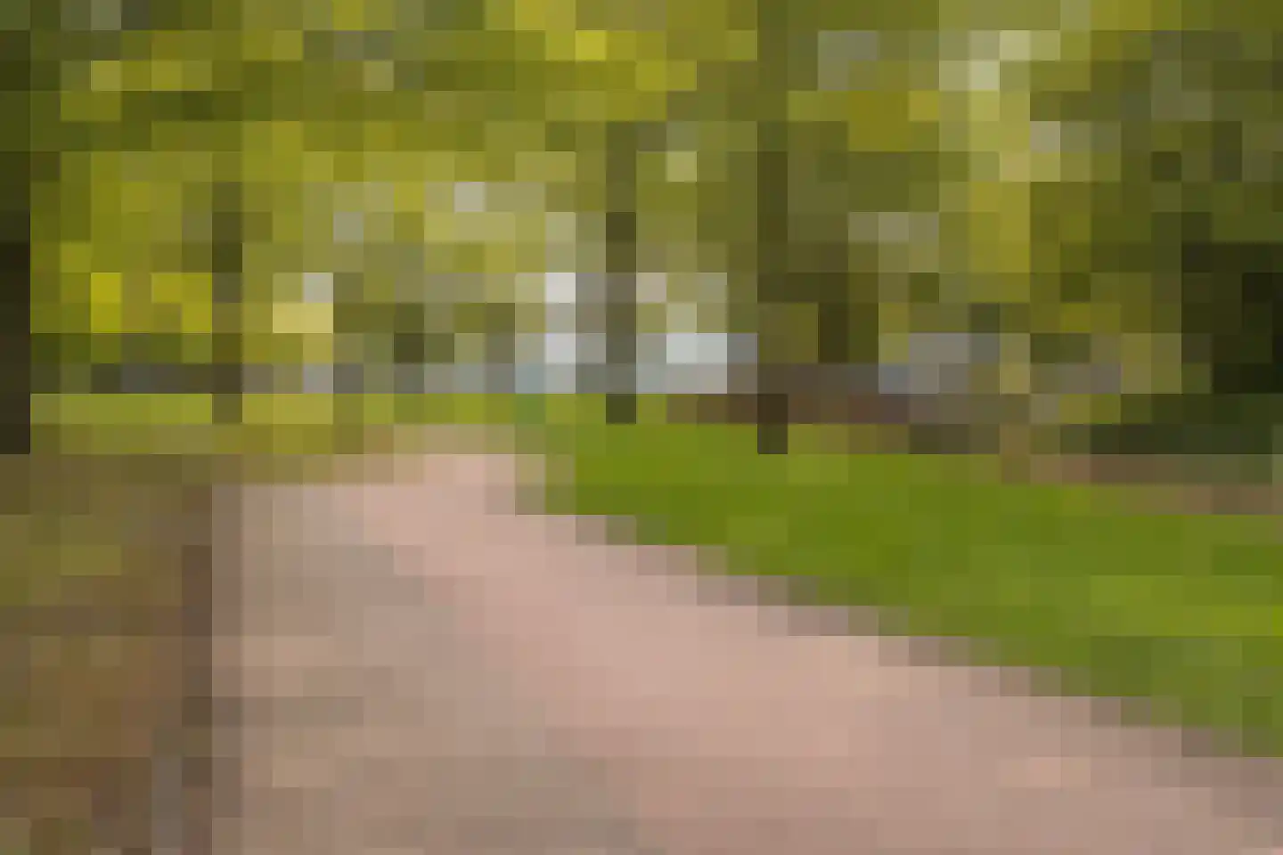 Voort 18 Gemert thumbnail 54