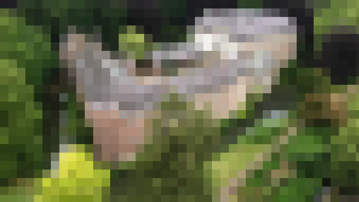 Voort 18 Gemert thumbnail 55