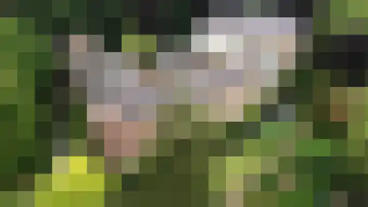 Voort 18 Gemert thumbnail 55