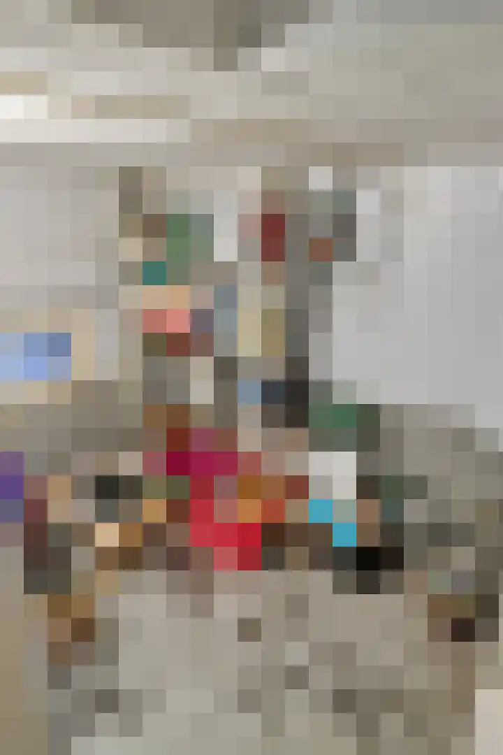 Voort 2 Lomm thumbnail 10