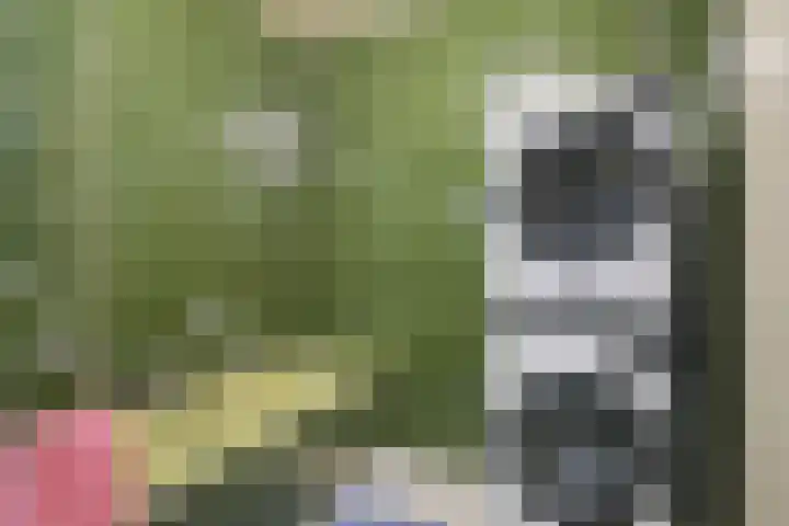 Voort 2 Lomm thumbnail 15