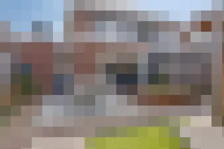 Voort 2 Lomm thumbnail 19