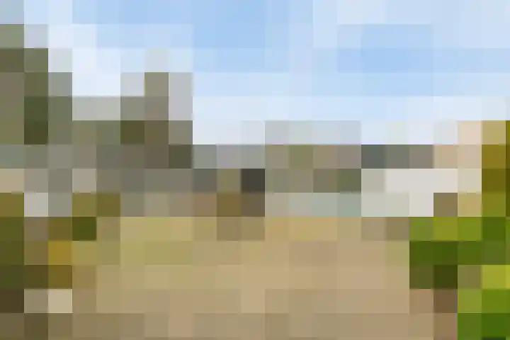 Voort 2 Lomm thumbnail 23