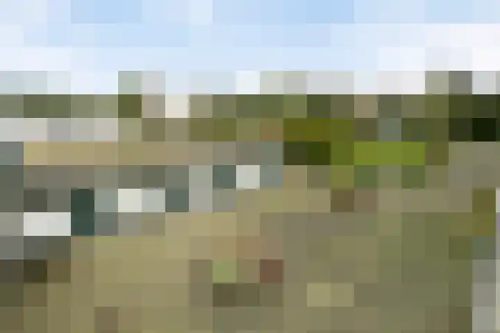 Voort 2 Lomm thumbnail 24
