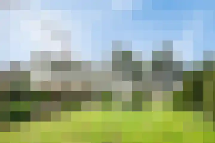 Voort 2 Lomm thumbnail 27