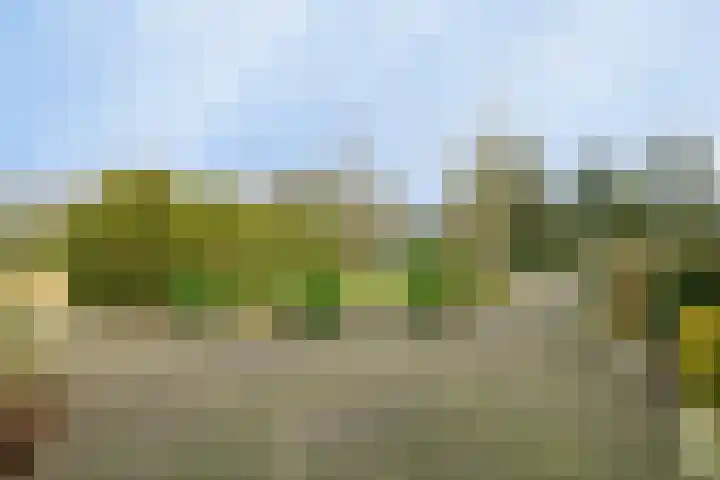 Voort 2 Lomm thumbnail 28