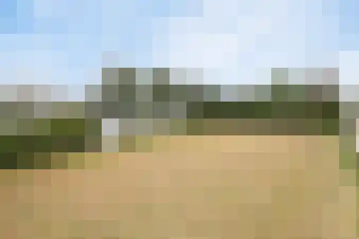 Voort 2 Lomm thumbnail 29