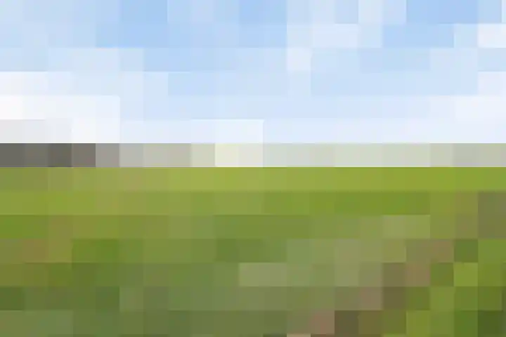 Voort 2 Lomm thumbnail 30