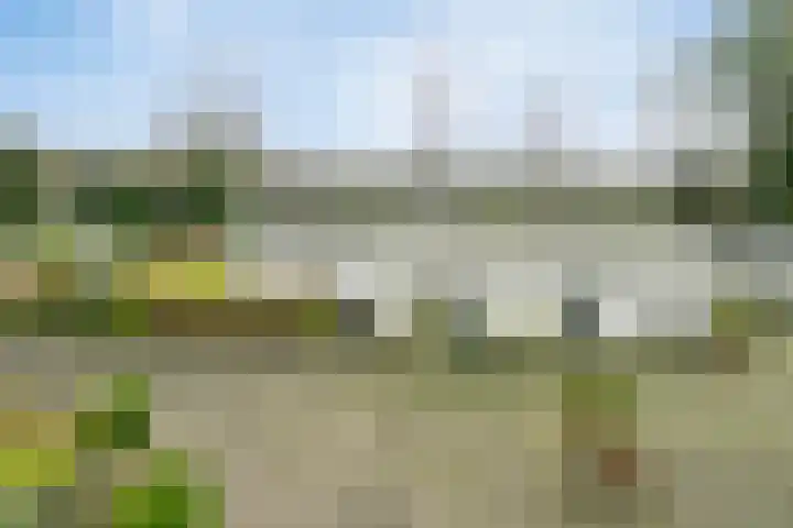Voort 2 Lomm thumbnail 31