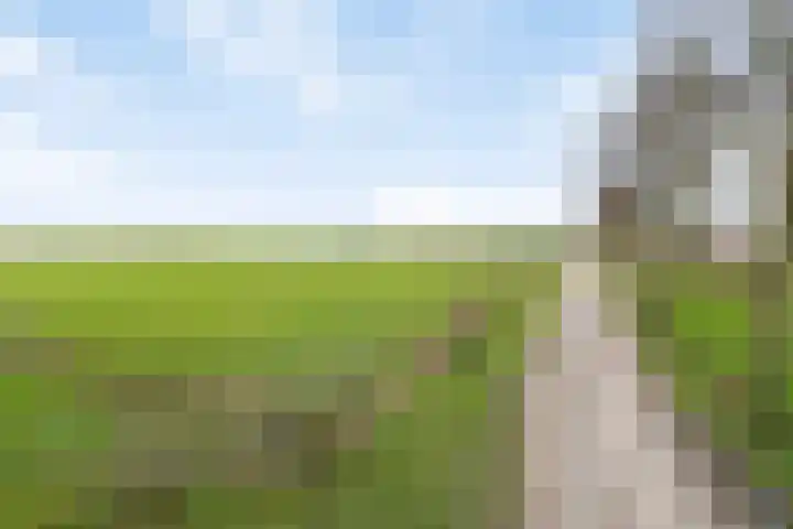 Voort 2 Lomm thumbnail 32