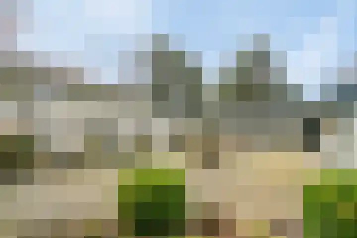 Voort 2 Lomm thumbnail 5