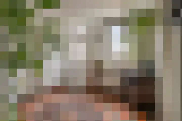 Voort 2 Lomm thumbnail 7