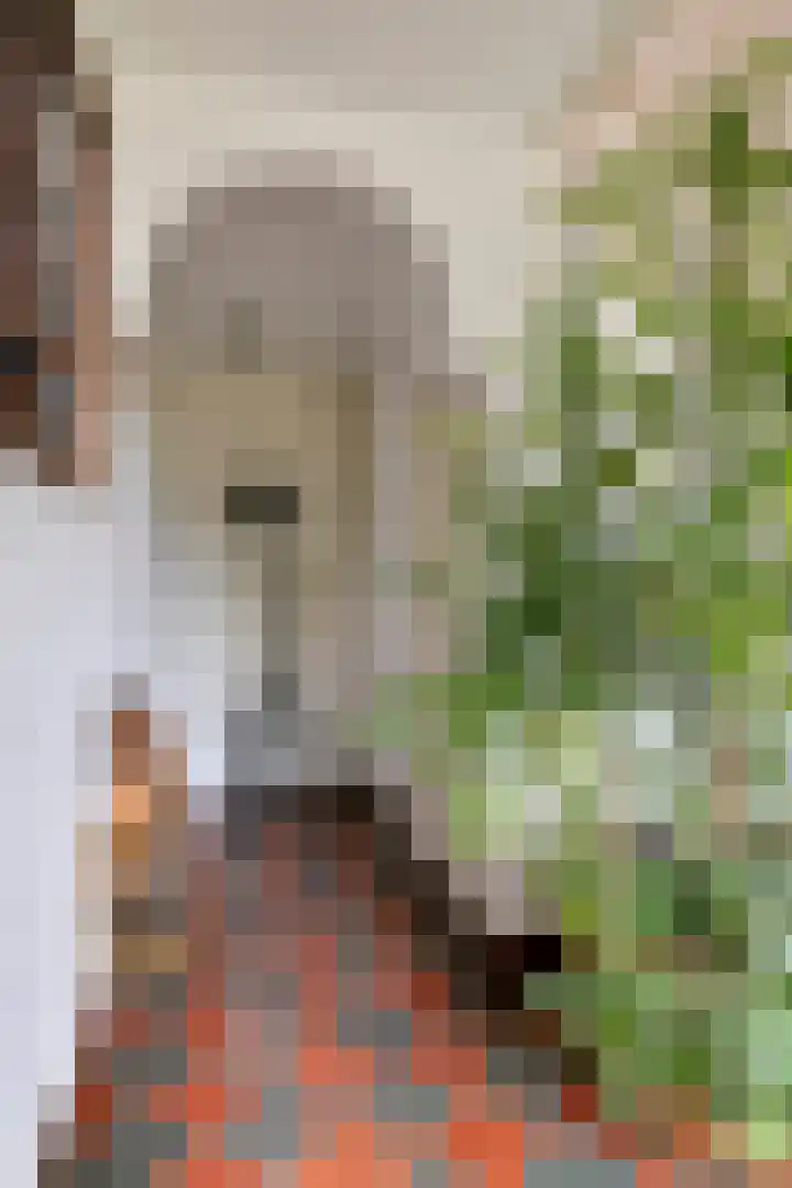 Voort 2 Lomm thumbnail 9