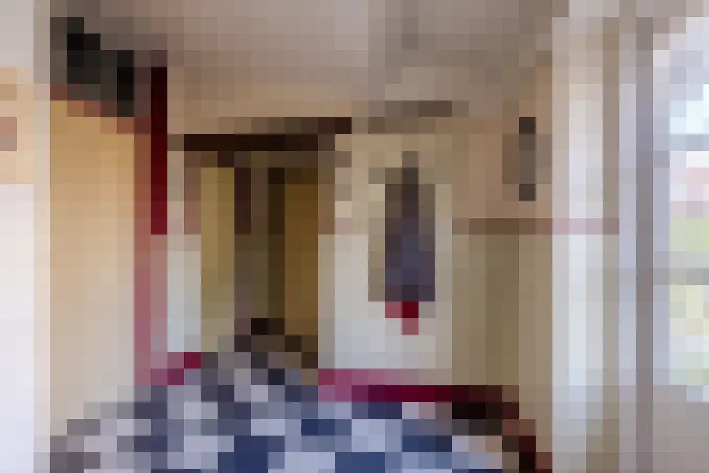 Voort 2 Reusel thumbnail 16