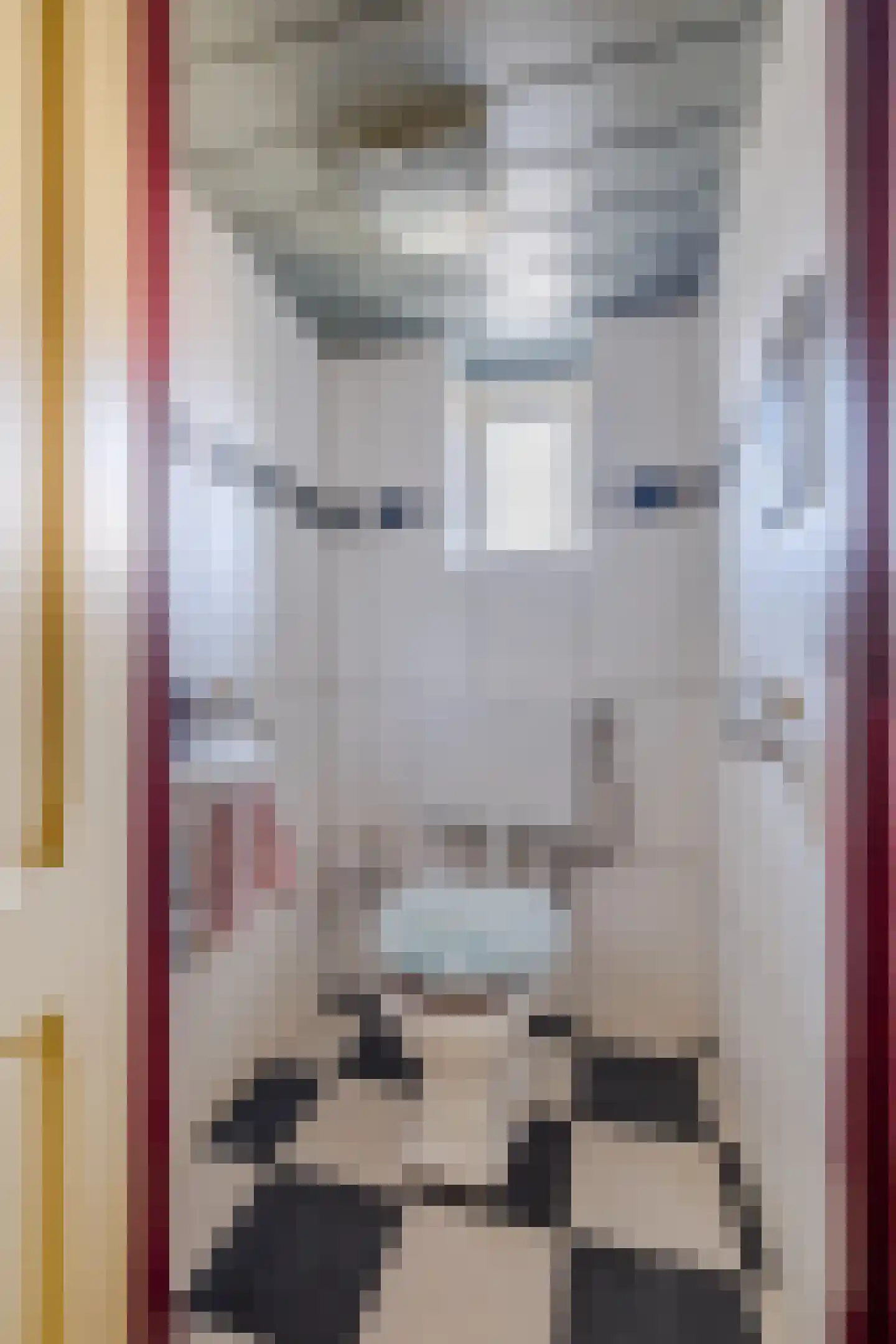 Voort 2 Reusel thumbnail 17